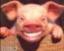 Benutzeravatar